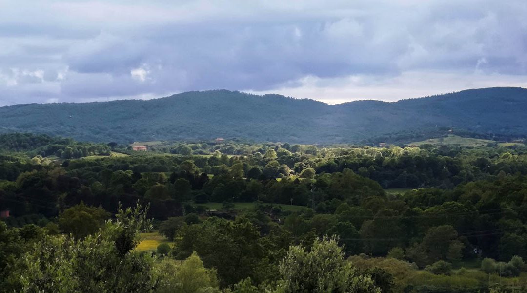 Terra di Vulcani – Bassano
