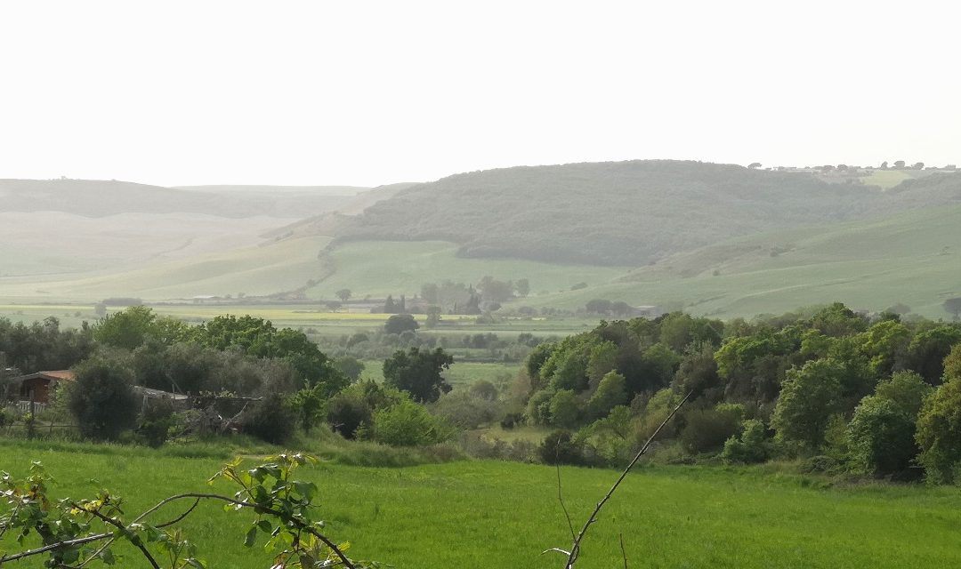 Valle del Mignone – Superstrada (proprio) in Mezzo 7.0