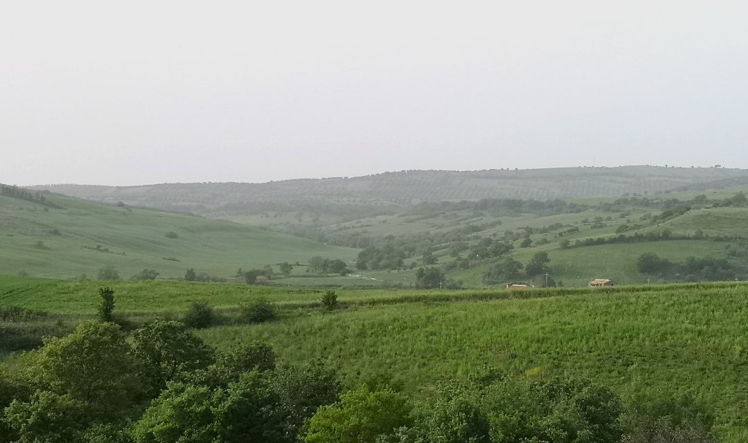 Valle del Mignone – Superstrada in Mezzo 8.0