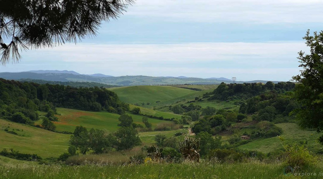 La Valle del Marta – Zero Sprawl