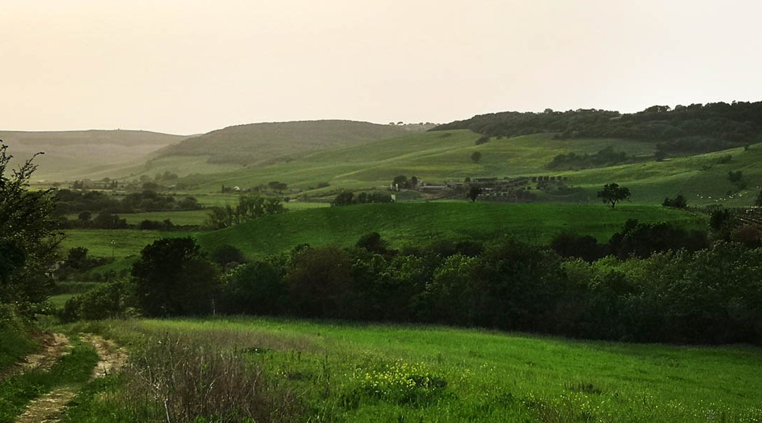 Valle del Mignone – Superstrada in Mezzo 5.0