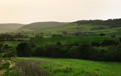 Valle del Mignone – Superstrada in Mezzo 5.0