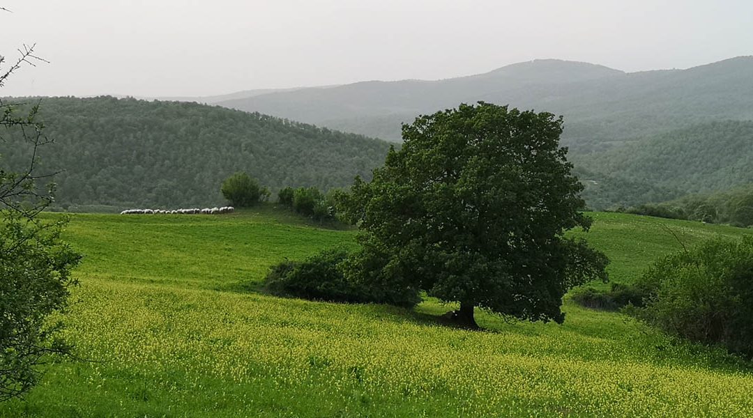 Valle del Mignone – Superstrada in Mezzo 6.0