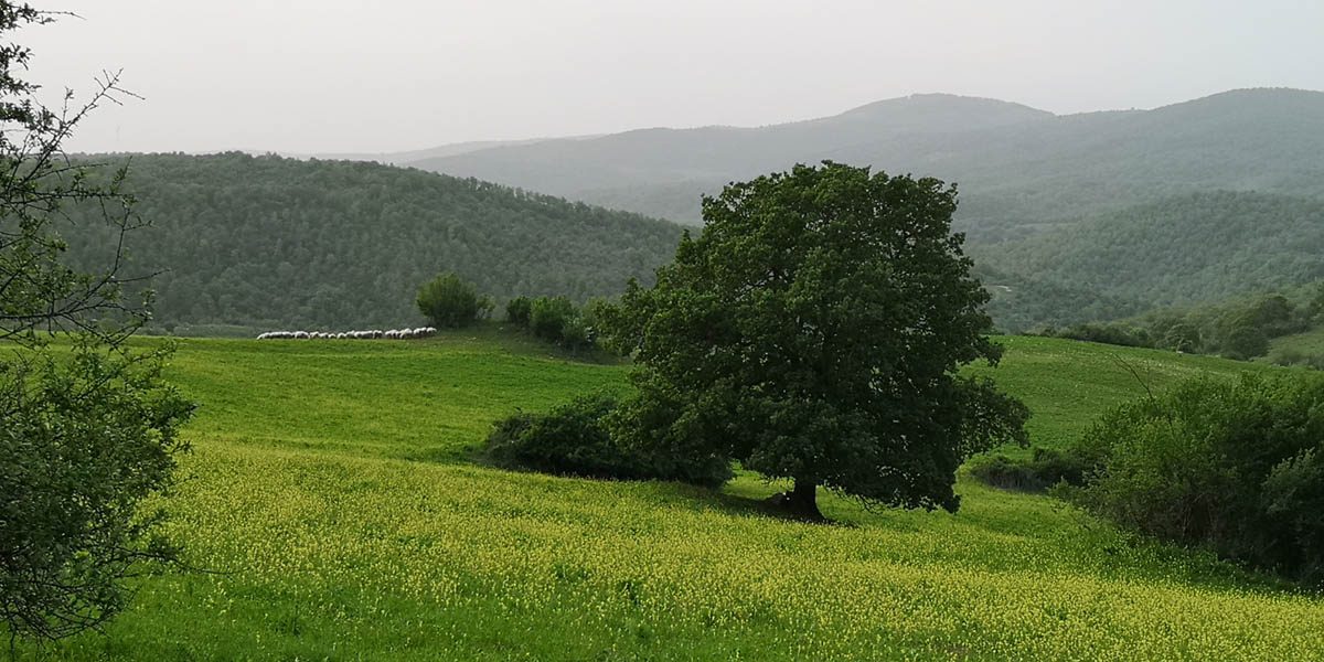 valle-del-mignone-superstrada