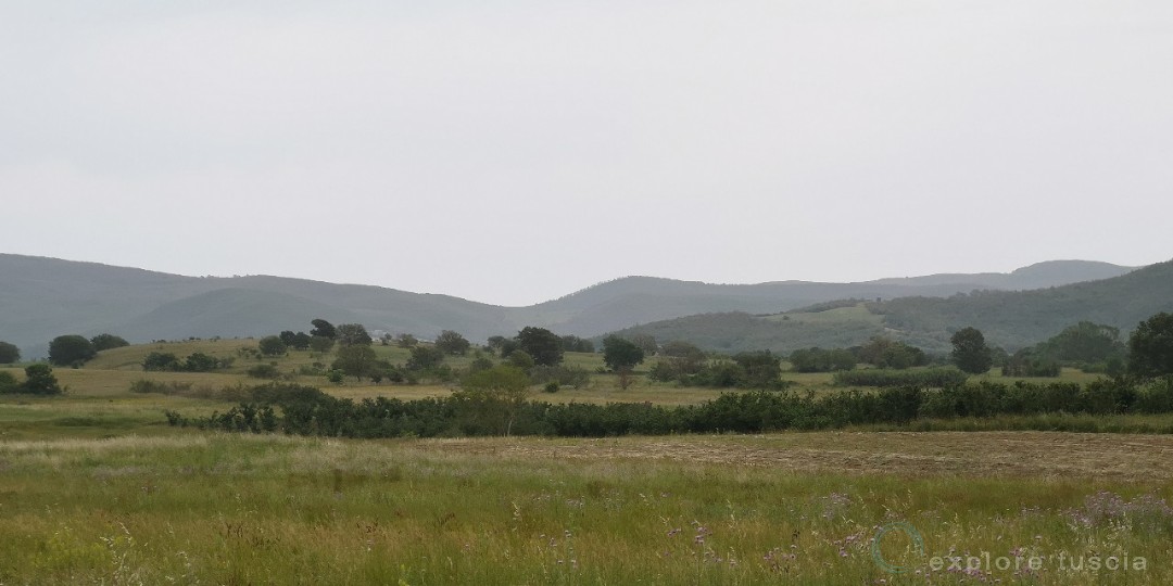 Tuscia pollificio_2019