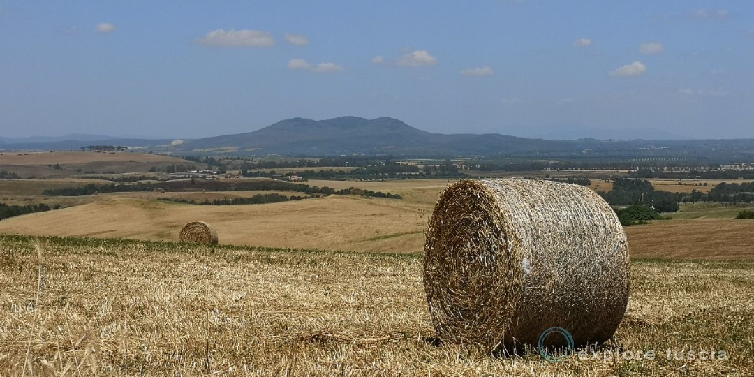 Tuscania-macroaria