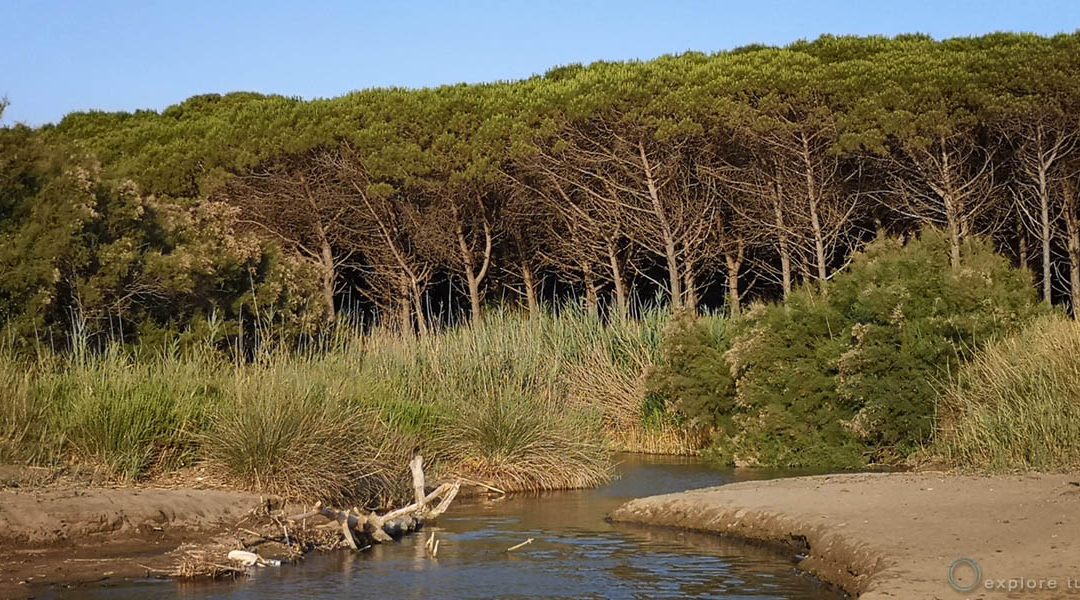La Foce di San Giorgio