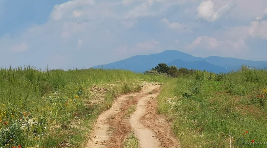 Road to Cimini