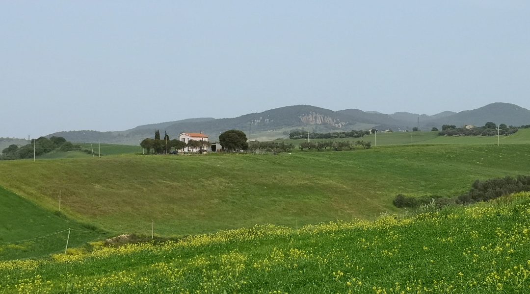 Dalle Parti di Cencelle
