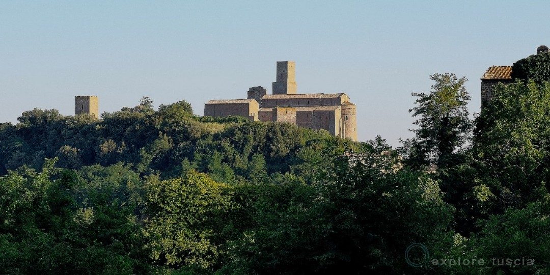 San Pietro inedito VI