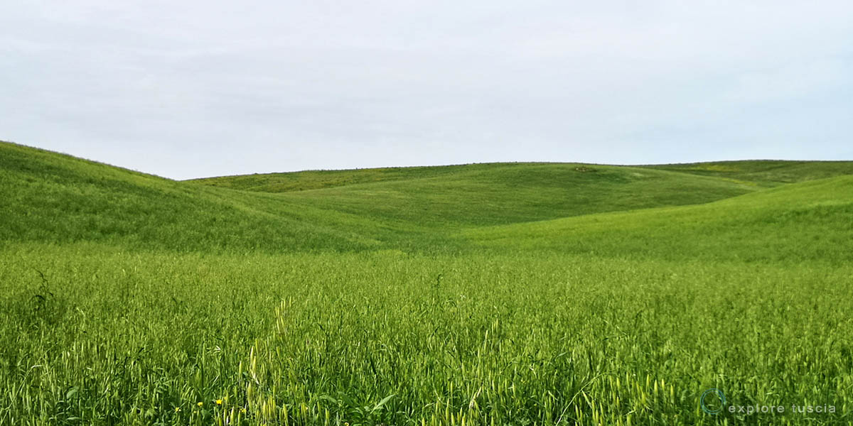 colline-green