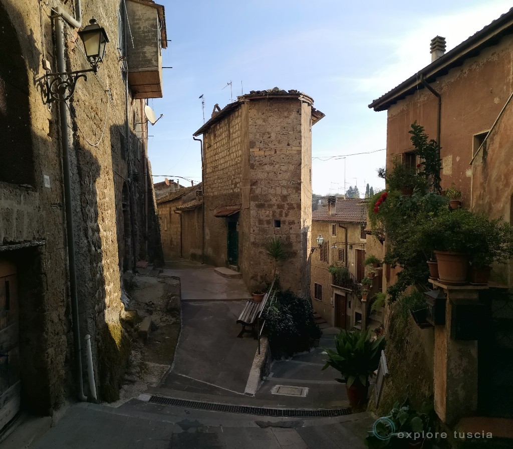 Bassano-eomano-angolo_2019