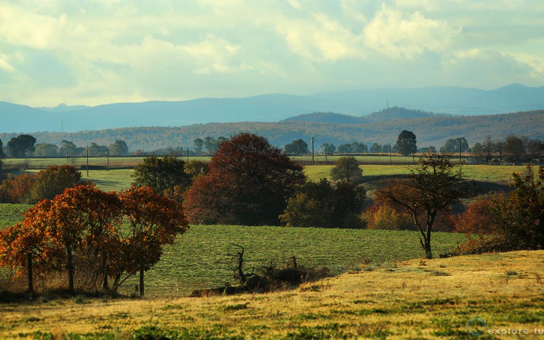 Tuscia – Quel Che Rimane Covid Edition