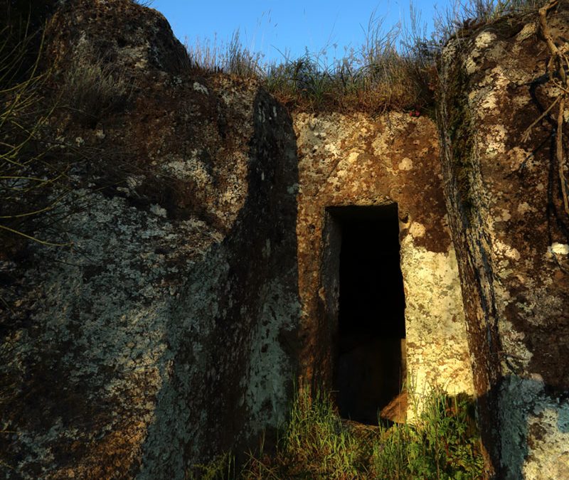 La Porta del Covid