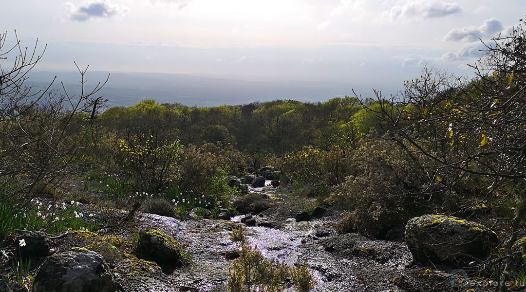 Che Futuro per la Tuscia?