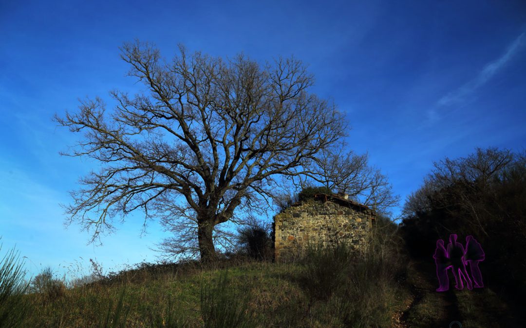 Untori di Campagna