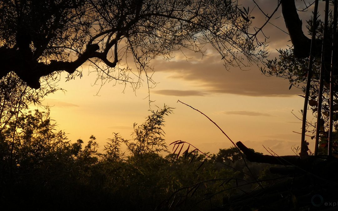 Tramonto Incantato