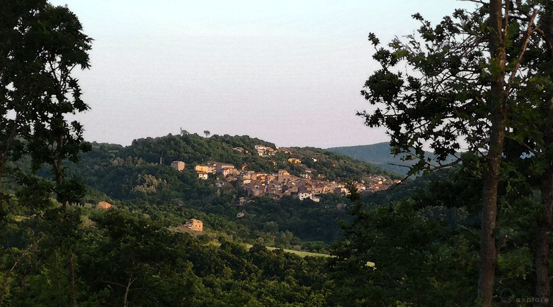 Villa San Giovanni – Mondo Verde