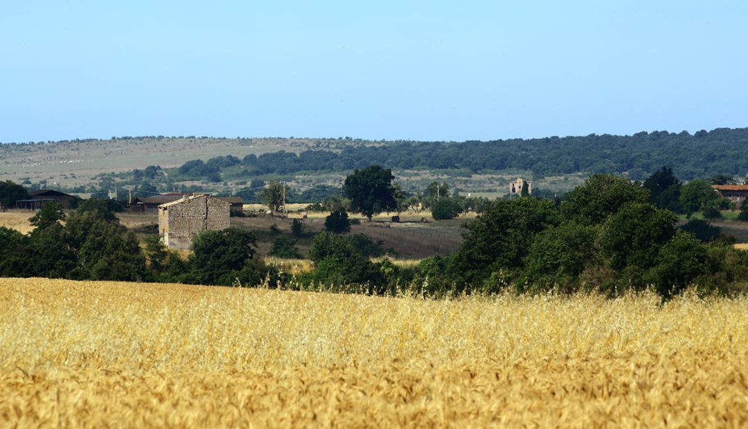 Il Parco Nazionale dell’Etruria – casali d’epoca in terre Etrusche