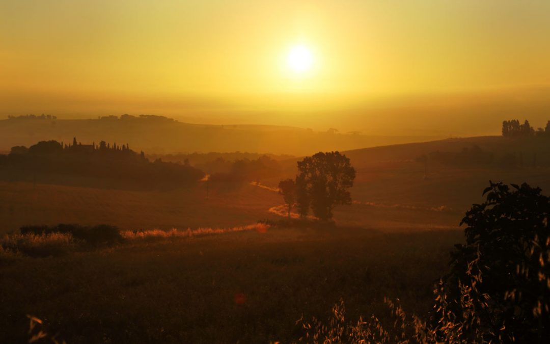 Parco Nazionale dell’Etruria – Into the Sun