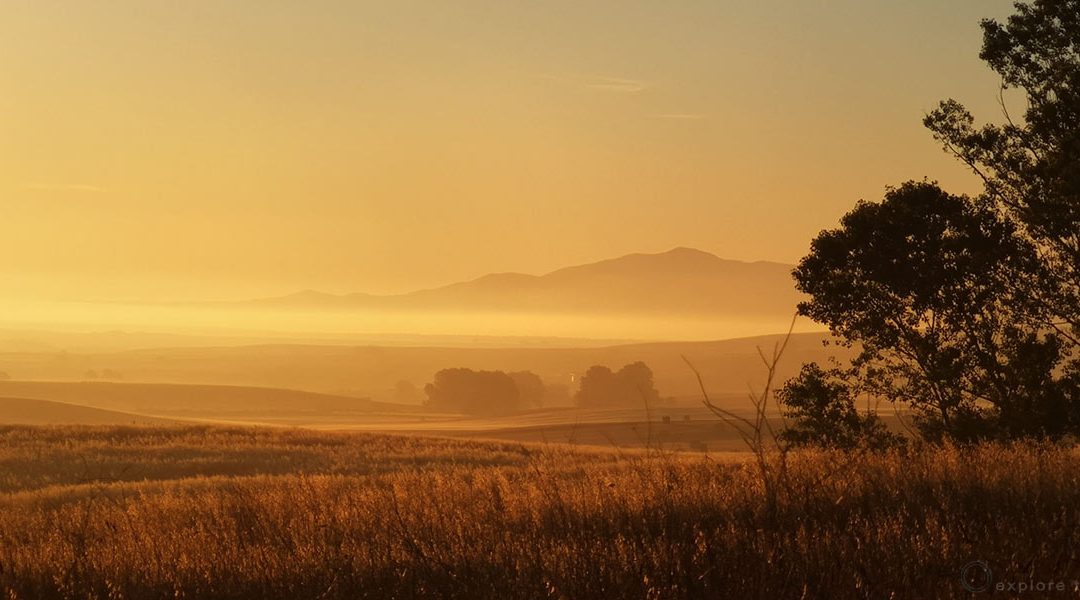 La Tuscia terra di Grano