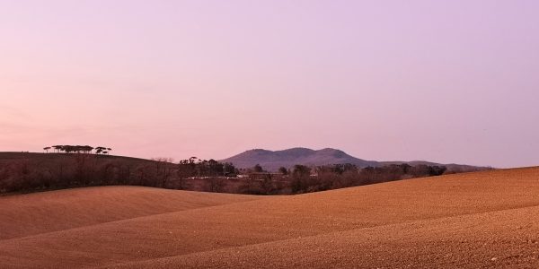 monte Canino - curve