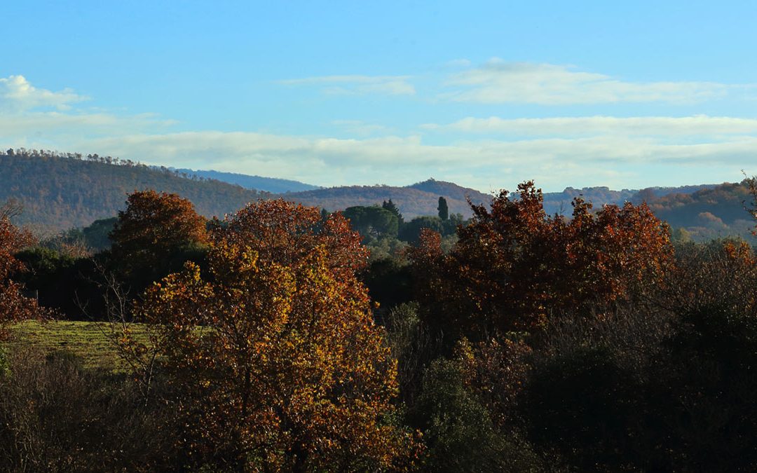 Terre Etrusche -Autunno