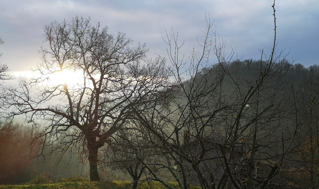 Eleganza nella Valle.