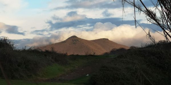 monte-palanzana-viterbo-asinello