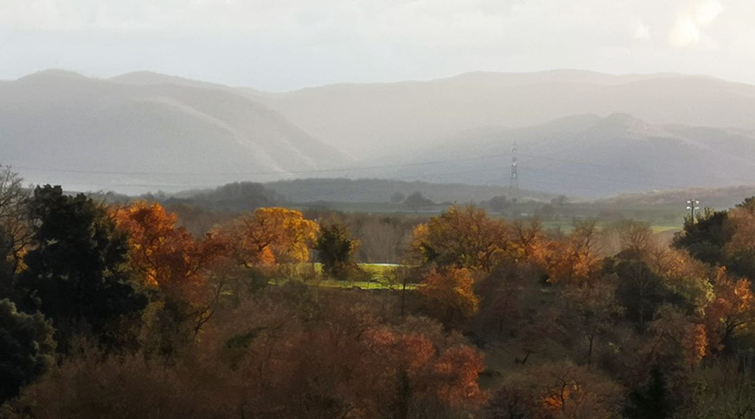 Le Terre di Mezzo – Parco Nazionale dell’Etruria