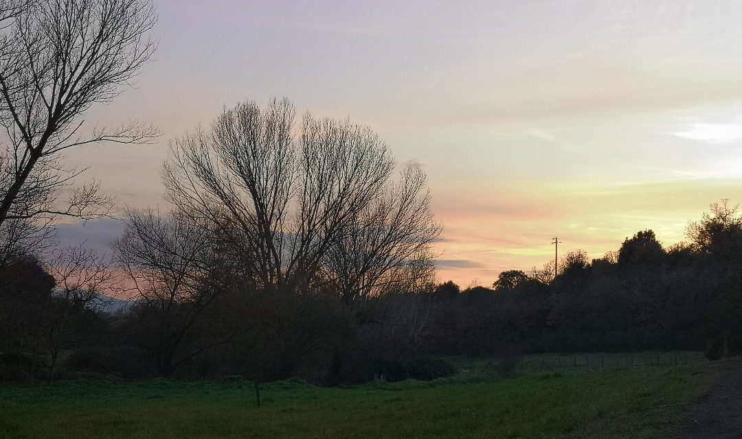 Il Tramonto della Libertà