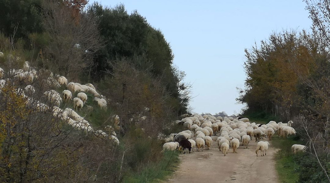 Tuscia – la Fine del Romanticismo