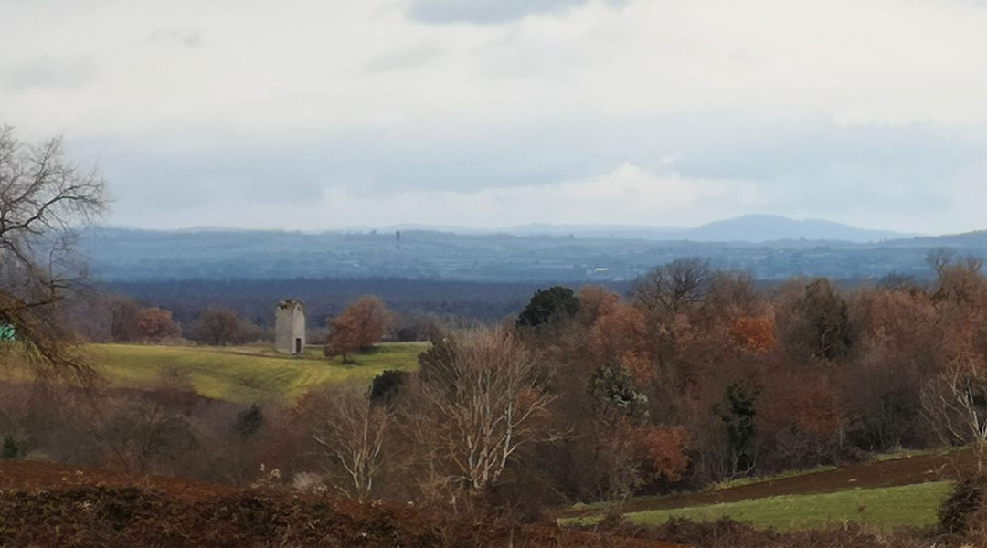 Torre solitaria – Tuscia