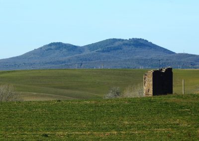 Tuscania-formicone-pian-di-vico-torre-arunte-1056