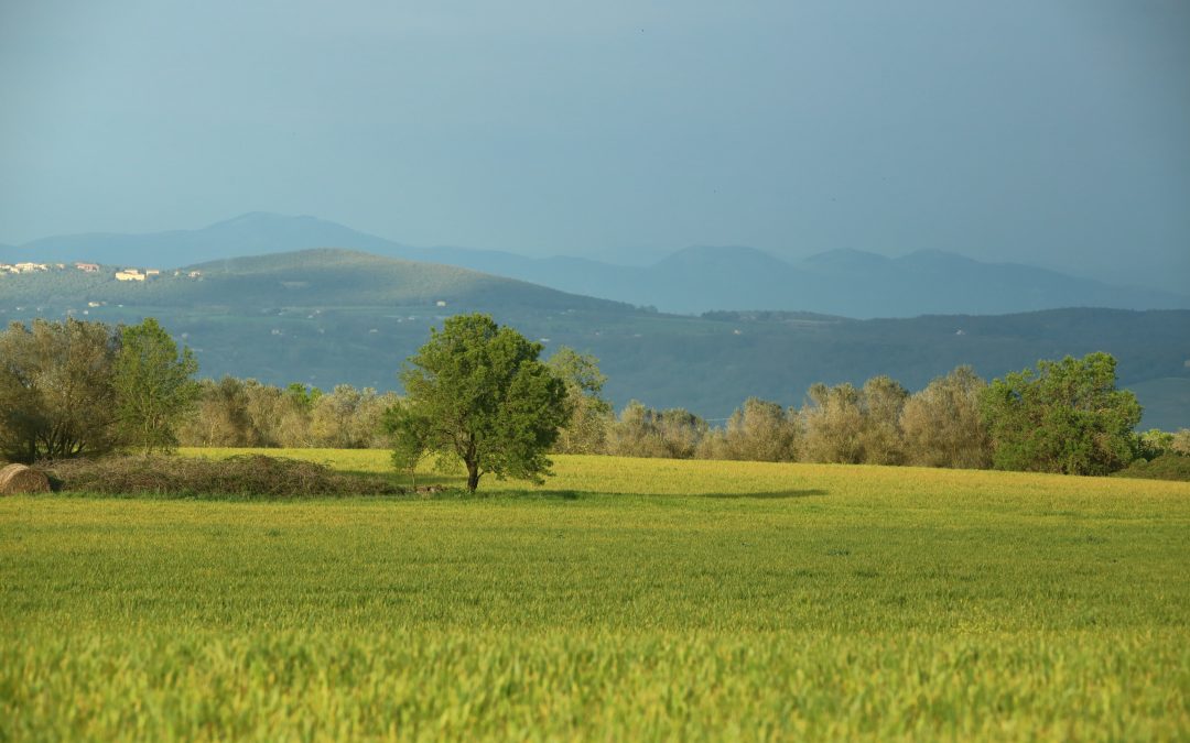 Quale GREEN!? Impatto dell’eolico su clima e venti e criticità del Fotovoltaico a Terra e del Consumo di Suolo