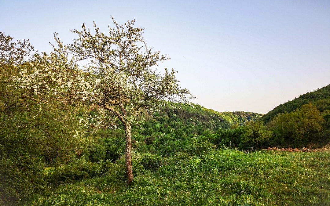 Valle del Mignone – Valle Magica