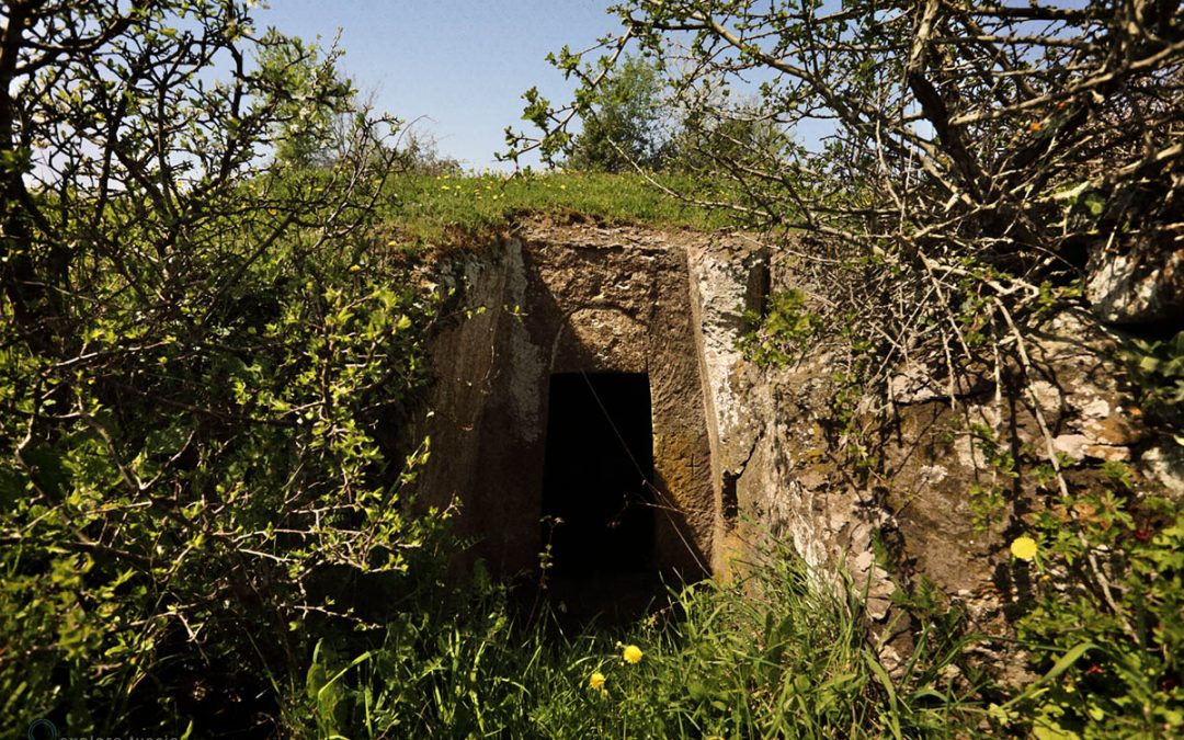 Necropoli del Ferrone – Tomba