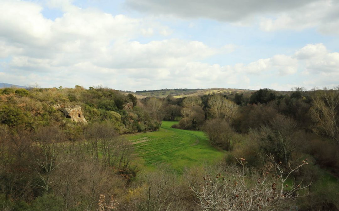 Il Fosso Grignano un Panorama Etrusco