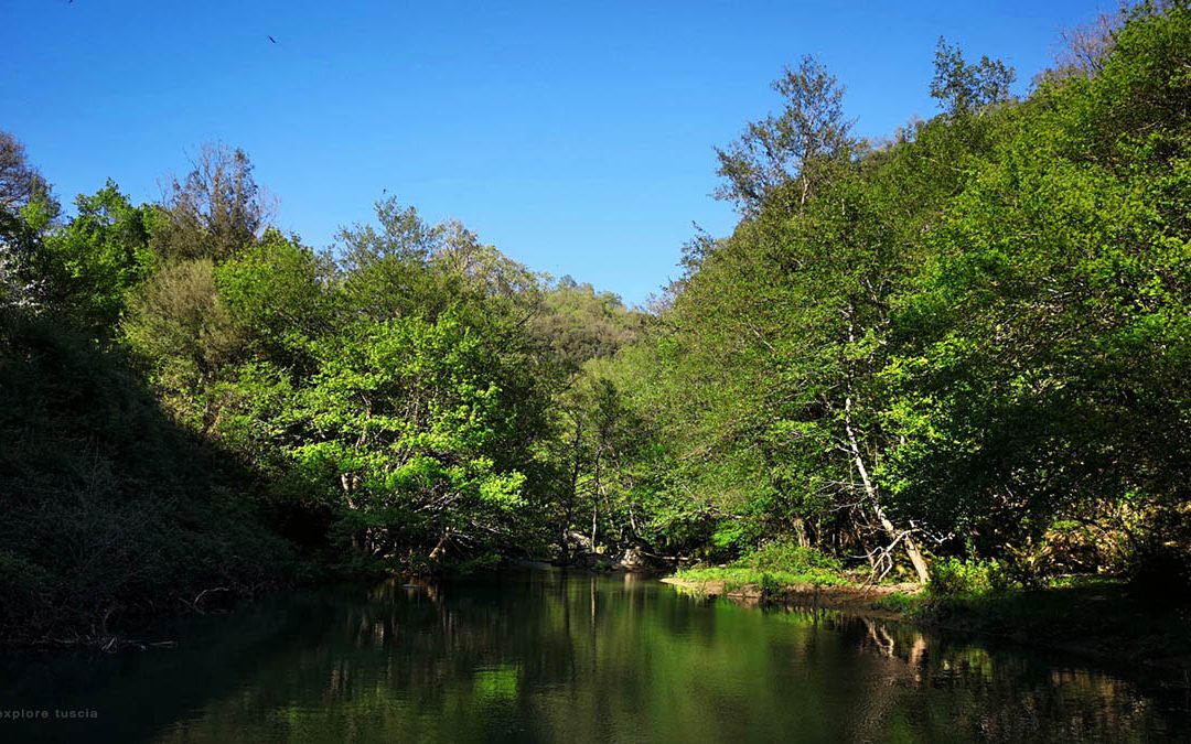 Il Fiume Mignone – Un Percorso Indimenticabile per i Paesaggi Antichi del Lazio