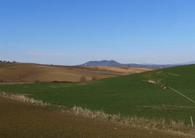 Formicone Monte Canino e Amiata