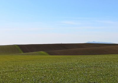 Terre Agricole, Il Formicone - Tuscania