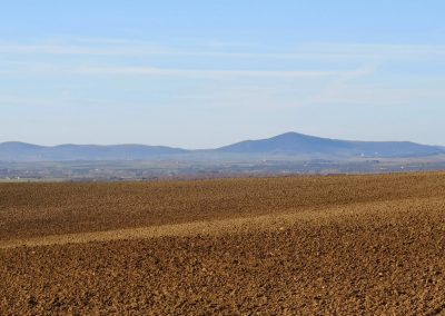 Formicone Tuscania verso Toscana