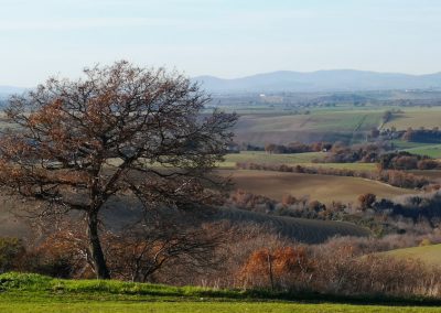 Tuscia dal Formicone