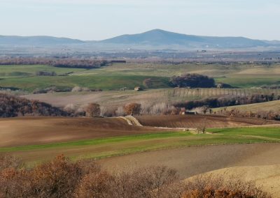 Formicone Tuscania verso Toscana