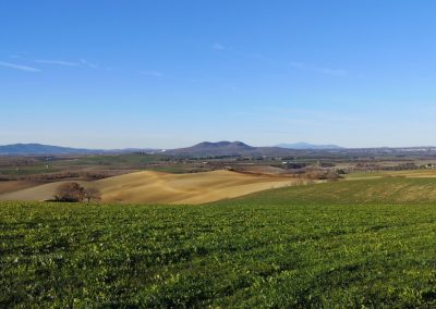 Formicone Tuscania e Monte Canino