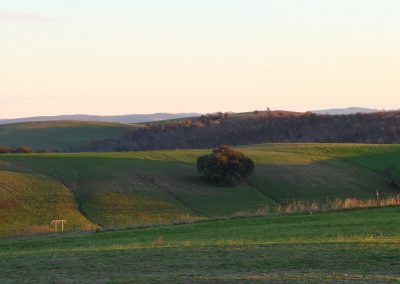 Campagna tra San Giuliano e Pian di Vico