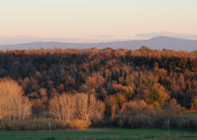 Monte Fogliano da San Giuliano - Pian di Vico