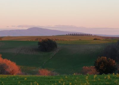 Monte Fogliano da San Giuliano - Pian di Vico