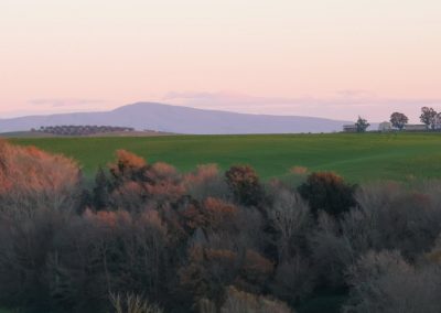 Monte Fogliano da San Giuliano - Pian di Vico