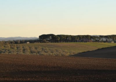 Dal Formicone a Pian di Vico